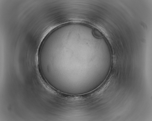 X0000115200891200911121840