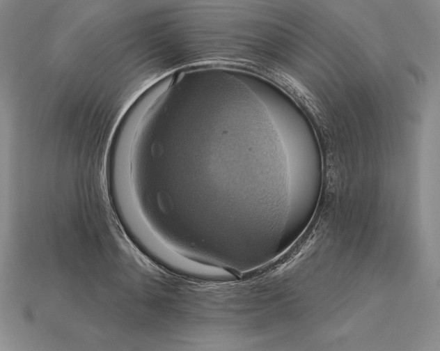 X0000115200892200911121840