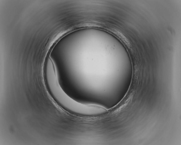 X0000115200893200911121840