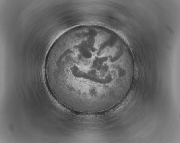X0000115200895200911121839