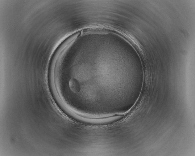 X0000115200896200911121839
