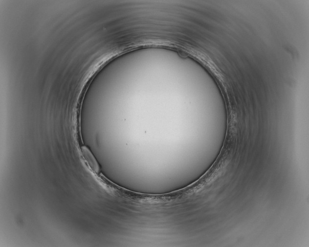 X0000115200898200911121839