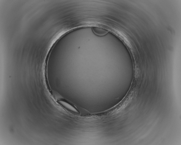 X0000115200899200911121839