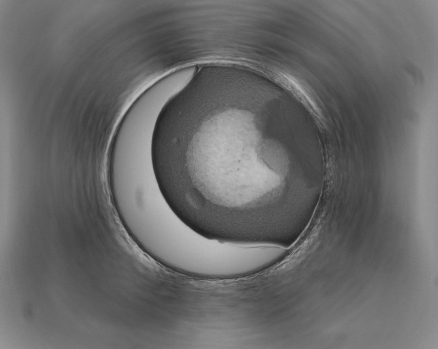 X0000115200900200911121839