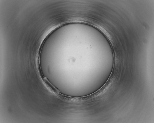 X0000115200901200911121839