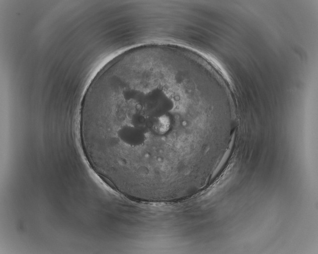 X0000115200903200911121839