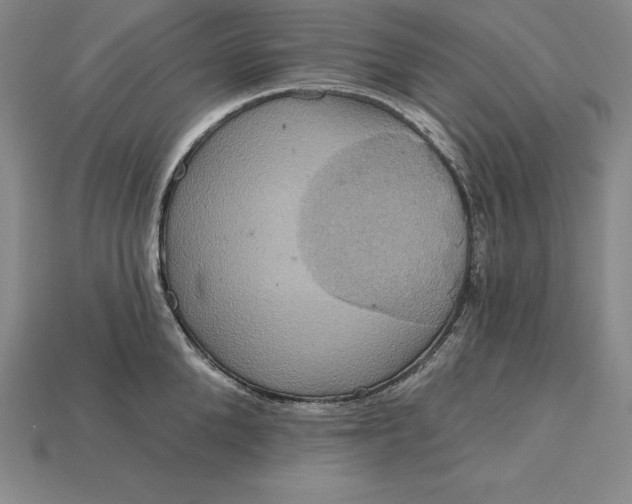 X0000115200904200911121839