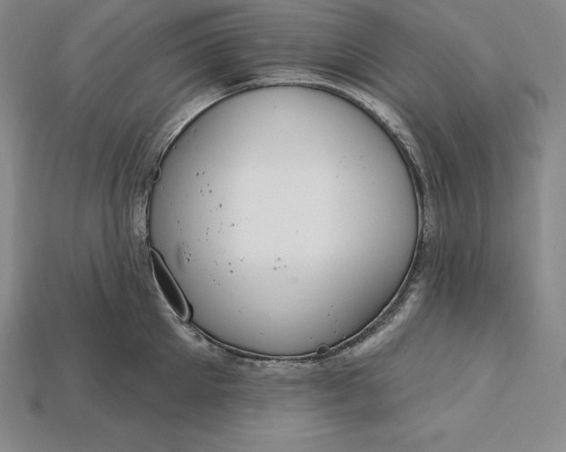 X0000115200905200911121839