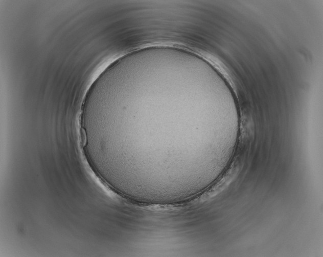 X0000115200906200911121839
