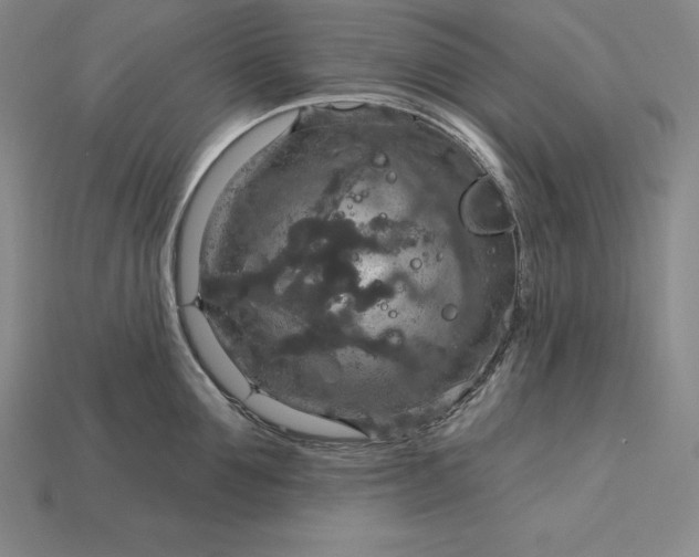 X0000115200907200911121839