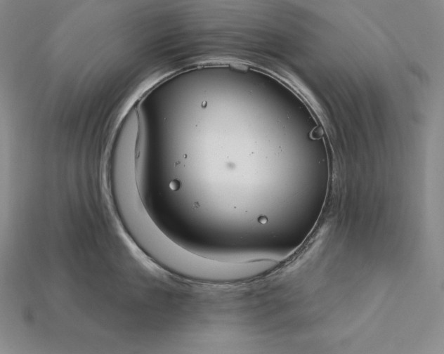 X0000115200909200911121839