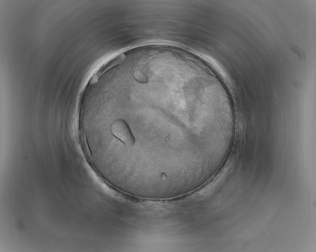 X0000115200910200911121839