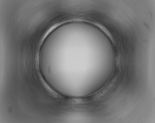 X0000115200911200911121839