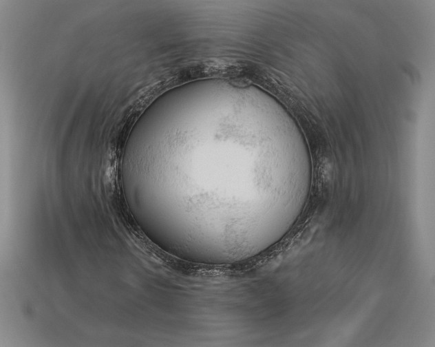 X0000115200914200911121839