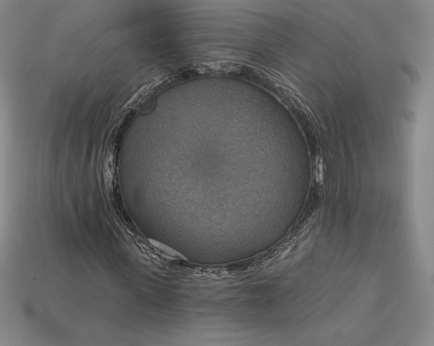 X0000115200915200911121839