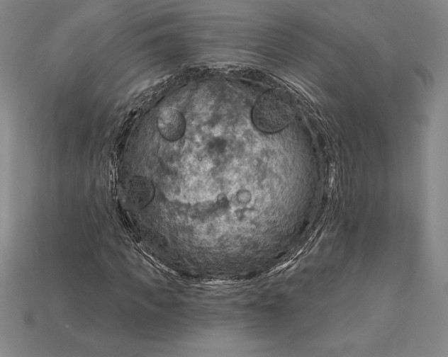 X0000115200917200911121839