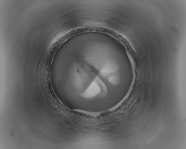X0000115200919200911121839