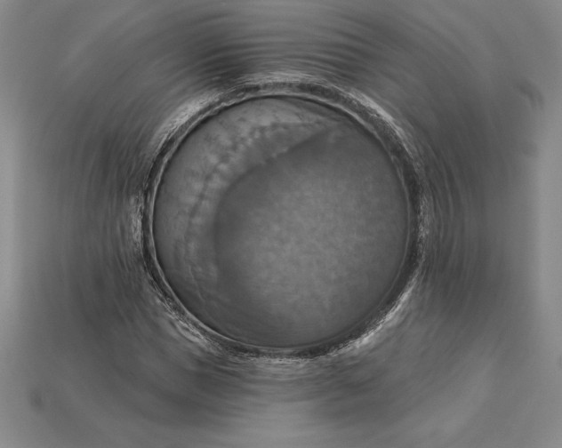 X0000115200921200911121839