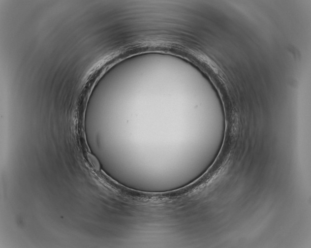 X0000115200922200911121839