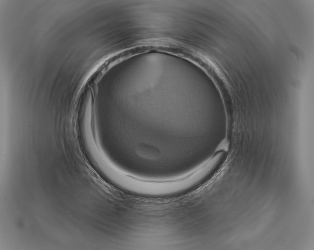 X0000115200923200911121839