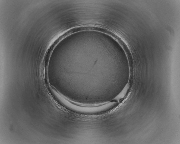 X0000115200925200911121839