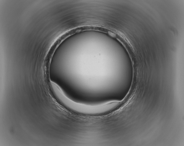 X0000115200926200911121839