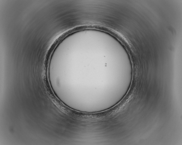 X0000115200927200911121839