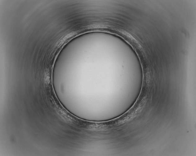 X0000115200929200911121839