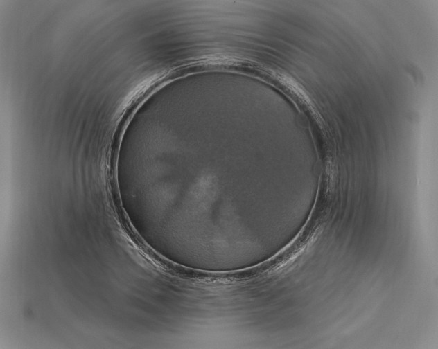 X0000115200930200911121839
