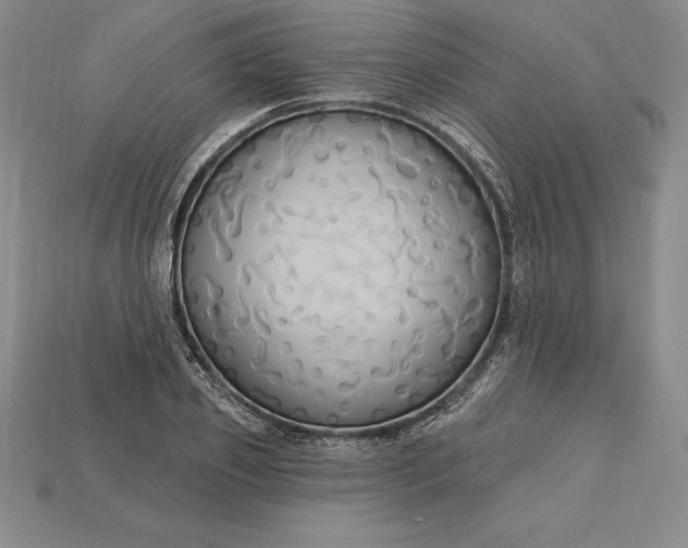 X0000115200933200911121839