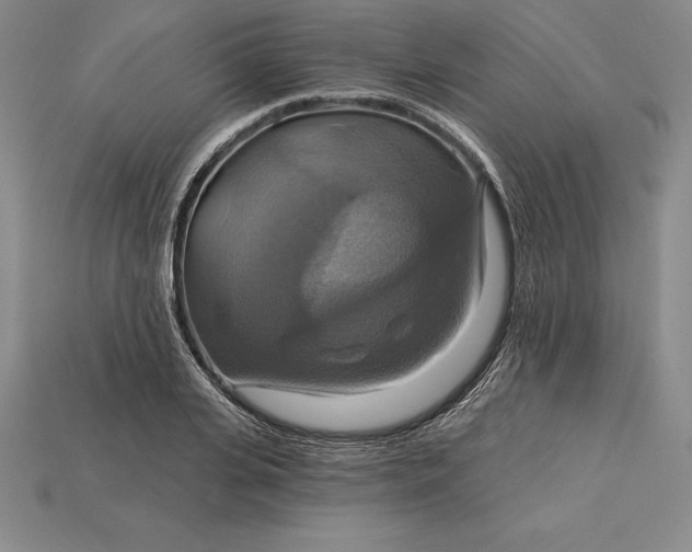 X0000115200935200911121839