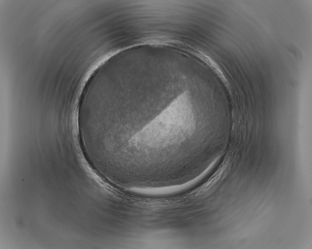 X0000115200939200911121839