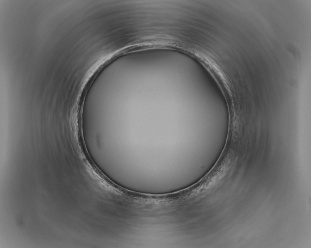 X0000115200941200911121839