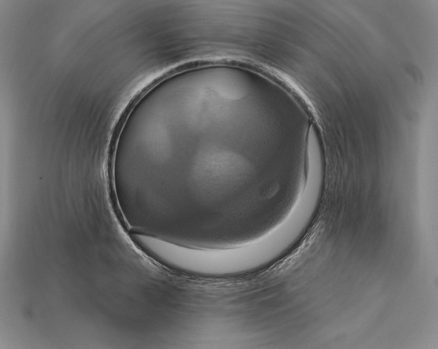 X0000115200943200911121839