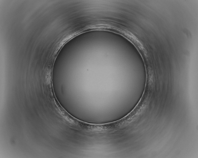 X0000115200945200911121839