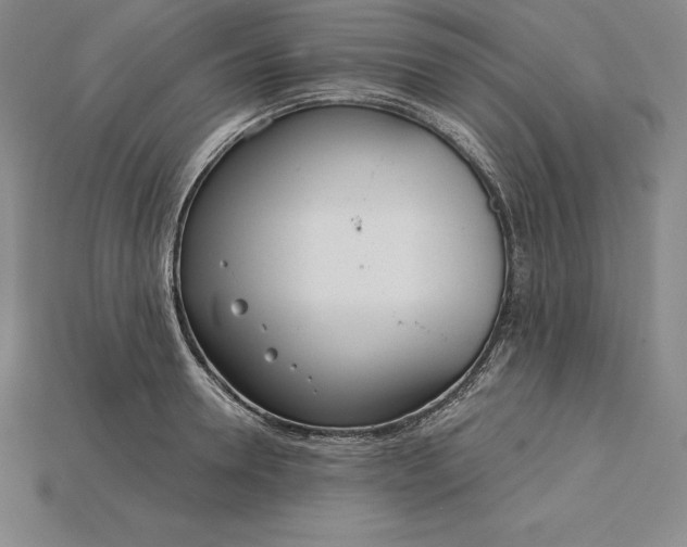 X0000115200946200911121839