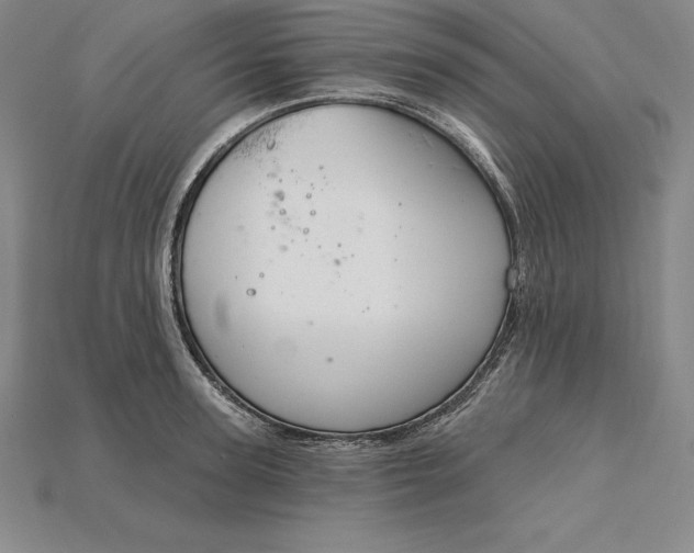 X0000115200947200911121839
