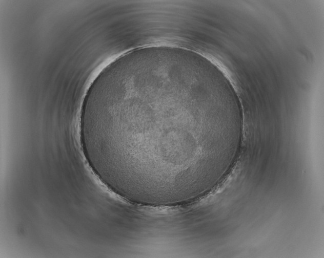 X0000115200949200911121839