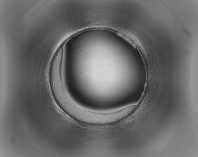 X0000115200950200911121839