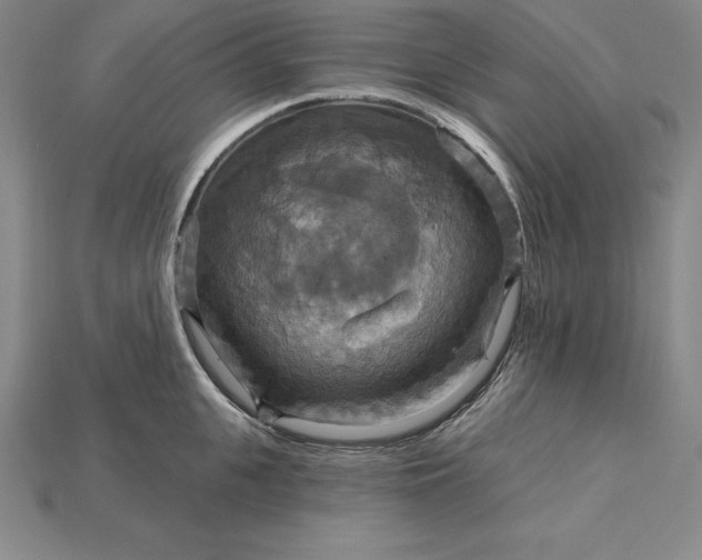 X0000115200951200911121839