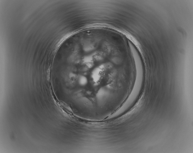 X0000115200953200911121839
