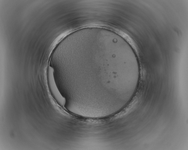 X0000115200954200911121839
