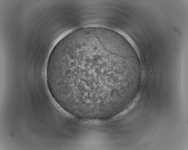 X0000115200957200911121839