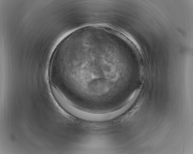 X0000115200959200911121839