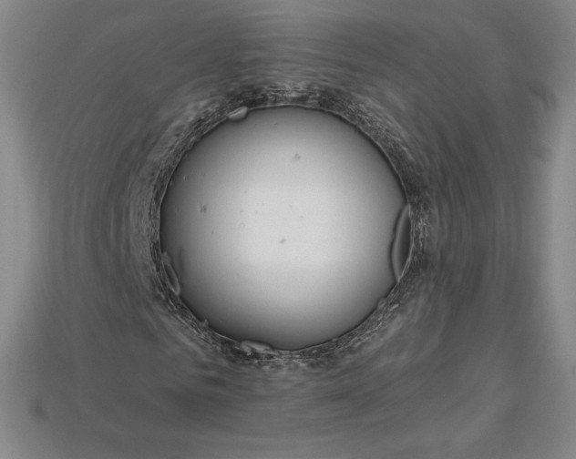 X0000115200961200911121839