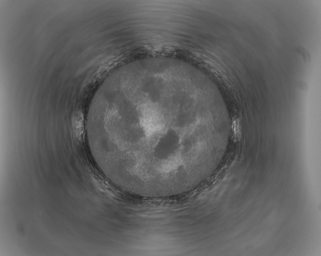 X0000115200963200911121839