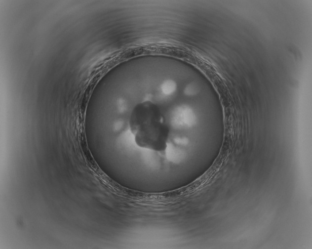 X0000115200966200911121839