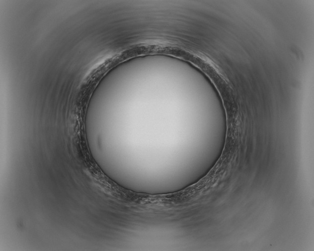 X0000115200967200911121839