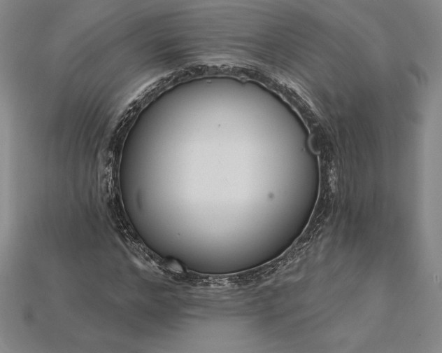 X0000115200968200911121839