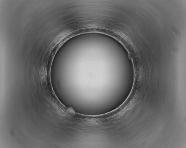 X0000115200969200911121839